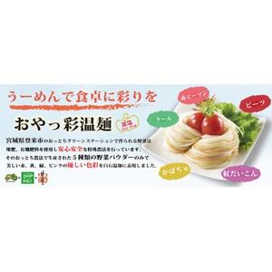 日本一短いそうめん　おやっ彩温麺　12袋入(48食分)【1614779】