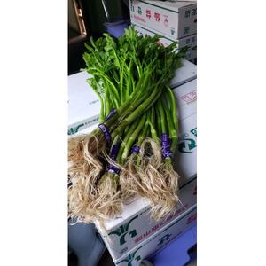 宮城県産森林どりを使った仙臺セリ鍋(3~4人前)【配送不可地域:離島】【1643688】