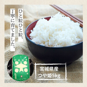 【令和7年産】宮城県産 つや姫 5kg【1675853】