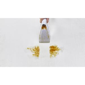 リンサークリーナー RNS-300_家電製品   _【配送不可地域：離島・沖縄県】【1150317】