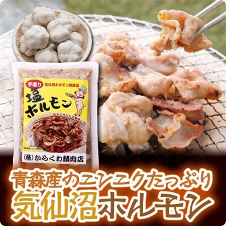 気仙沼ホルモンしお味300g×2P_肉 豚肉  ぶたにく ブタ ポーク_【配送不可地域：離島】【1344297】