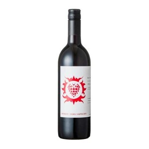 【南三陸ワイナリー】の白ワイン・赤ワイン2本セット(ギフトボックス入り)_酒・アルコール 白ワイン ワイン   酒・アルコール 赤ワイン ワイン _【配送不可地域：離島】【1377819】