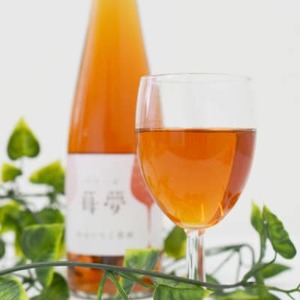 山元いちご農園 いちごスパークリングワイン 苺夢(べりーむ) 500ml_酒・アルコール  ワイン _【1378828】