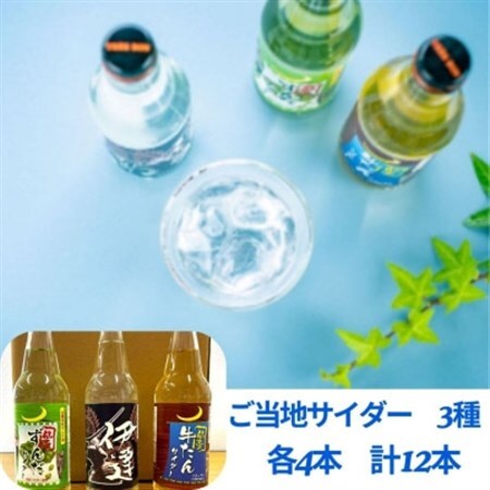 【個性派】ご当地サイダー　牛たん・ずんだ・伊達サイダー340ml計12本詰合わせセット_飲料・ドリンク 炭酸飲料 ジュース _【1394581】