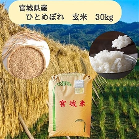 【令和7年産】宮城県産ひとめぼれ玄米　30kg_ 玄米 米 こめ コメ_【1397625】