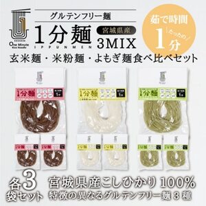 茹で時間1分のグルテンフリー麺　1分麺3種の食べ比べセット 各3袋_麺   _【1418214】
