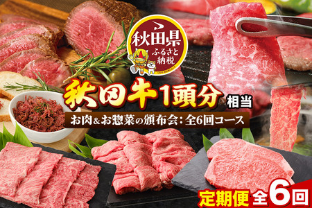 《頒布会 6ヶ月》秋田牛1頭分相当 定期便 牛肉 肉 頒布会