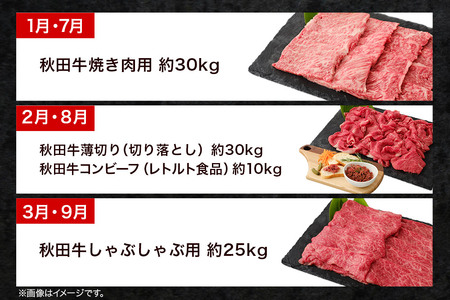 《頒布会 6ヶ月》秋田牛1頭分相当 定期便 牛肉 肉 頒布会