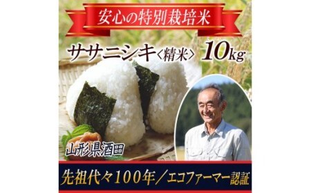 令和5年産米】特別栽培米 ササニシキ 精米10kg 山形県庄内 F2Y-3667