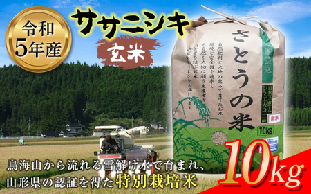 令和5年産 ササニシキ 玄米 10kg 特別栽培米 F2Y-3650