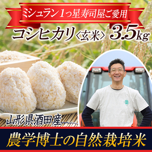 【令和5年産米】《自然栽培米》 コシヒカリ 農学博士が育てた 玄米 3.5kg F2Y-3665