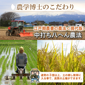 【令和5年産米】《自然栽培米》 コシヒカリ 農学博士が育てた 玄米 3.5kg F2Y-3665
