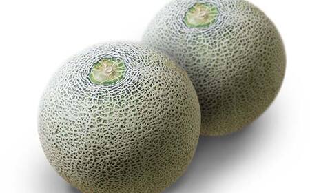 【先行予約 2026年度発送】♪フルーツ王国山形♪アンデスメロン デザート フルーツ 果物 くだもの 果実 食品 山形県 FSY-1125