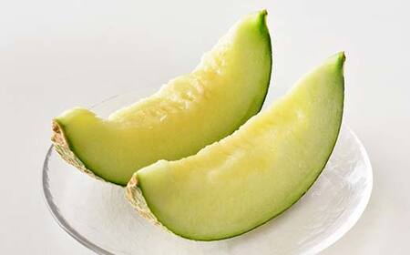 【先行予約 2026年度発送】♪フルーツ王国山形♪アンデスメロン デザート フルーツ 果物 くだもの 果実 食品 山形県 FSY-1125