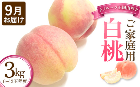 【先行予約 2026年度発送】♪フルーツ王国山形♪ ご家庭用 白桃 9月お届け もも モモ 桃 デザート フルーツ 果物 くだもの 果実 食品 山形県 FSY-2553