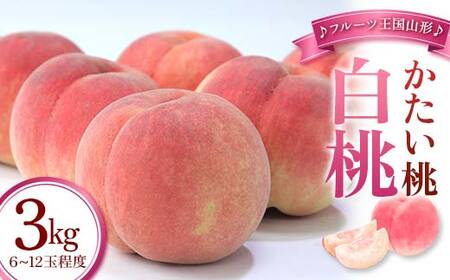【先行予約 2026年度発送】♪フルーツ王国山形♪白桃（かたい桃） もも モモ 桃 デザート フルーツ 果物 くだもの 果実 食品 山形県 FSY-2477