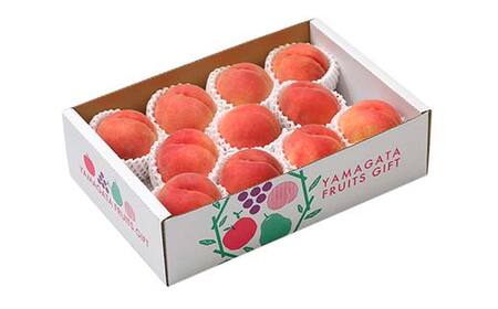 【先行予約 2026年度発送】♪フルーツ王国山形♪白桃（かたい桃） もも モモ 桃 デザート フルーツ 果物 くだもの 果実 食品 山形県 FSY-2477