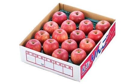 【先行予約 2026年度発送】♪フルーツ王国山形♪ シナノスイート 秀品 5kg りんご リンゴ 林檎 デザート フルーツ 果物 くだもの 果実 食品 山形県 FSY-2631