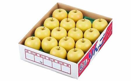 【先行予約 2026年度発送】♪フルーツ王国山形♪ シナノゴールド ご家庭用 5kg りんご リンゴ 林檎 デザート フルーツ 果物 くだもの 果実 食品 山形県 FSY-2634