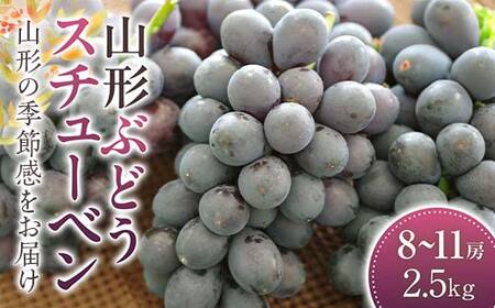 《2026年 先行予約》 スチューベン ぶどう 8~11房 2.5kg【2026年9月から発送】 ブドウ 葡萄 デザート フルーツ 果物 くだもの 果実 食品 山形県 FSY-2412