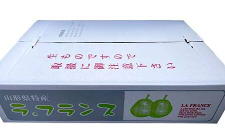 2024年度先行予約】山形県産ラ・フランス 5kg 12 玉～20 玉 FSY-1025
