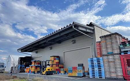 【2026年度先行予約】山形県産ラ・フランス 5kg 12 玉～20 玉 なし ナシ 梨 デザート フルーツ 果物 くだもの 果実 食品 山形県 FSY-2661