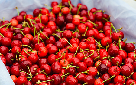 【2026年先行予約】さくらんぼ「佐藤錦」600g 秀品 Lサイズ以上 山形県産 FSY-1202