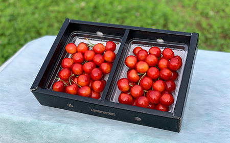 【2026年先行予約】さくらんぼ「紅秀峰」600g 秀品 2Lサイズ以上 山形県産 FSY-1203