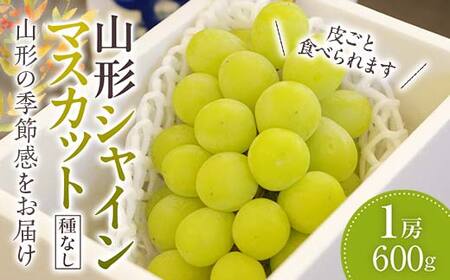 《2026年 先行予約》 山形シャインマスカット ぶどう 1房 《種なし皮ごと食べられます》【2026年9月から発送】 マスカット ブドウ 葡萄 デザート フルーツ 果物 くだもの 果実 食品 山形県 FSY-2628