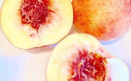 《2026年産先行受付》山形県産 白桃 秀品 5kg（12玉～20玉） 品種おまかせ 軟らかくなる桃 あかつき 川中島白桃 伊達白桃 他 もも モモ 桃 デザート フルーツ 果物 くだもの 果実 食品 山形県 FSY-2514