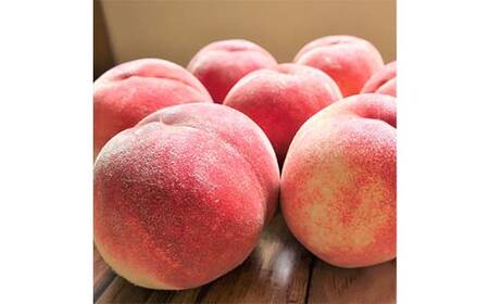 《2026年産先行受付》山形県産 白桃 秀品 5kg（12玉～20玉） 品種おまかせ 軟らかくなる桃 あかつき 川中島白桃 伊達白桃 他 もも モモ 桃 デザート フルーツ 果物 くだもの 果実 食品 山形県 FSY-2514