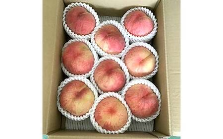 《2026年産先行受付》 山形県産 白桃 秀品 3kg 品種おまかせ 硬めの桃 あまり柔らかくならない桃 もも モモ 桃 デザート フルーツ 果物 くだもの 果実 食品 山形県 FSY-2515