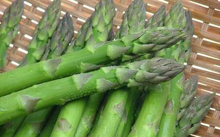 《先行予約 2026年度発送》グリーンアスパラガス FSY-0150