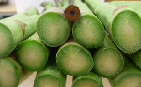 《先行予約 2026年度発送》グリーンアスパラガス FSY-0150