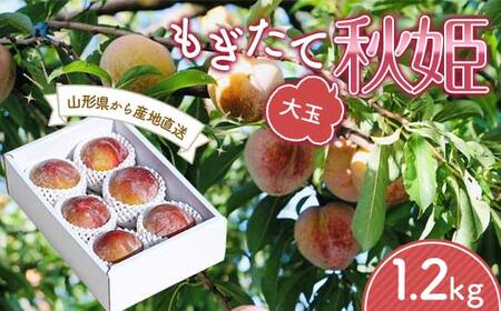 【先行受付 令和8年度発送】山形 もぎたて大玉秋姫（すもも）1.2kg フルーツ 果物 くだもの 果実 食品 山形県 FSY-1209