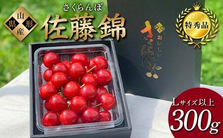 【2026年先行予約】さくらんぼ「佐藤錦」300g 特秀品 Lサイズ以上 山形県産 FSY-1204