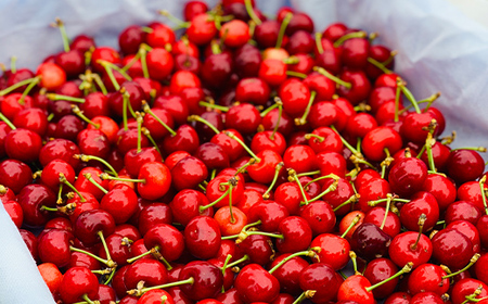 【2026年先行予約】さくらんぼ「佐藤錦」300g 特秀品 Lサイズ以上 山形県産 FSY-1204