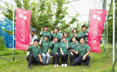 【仲野観光果樹園】《2025年先行予約》ご家庭用 山形県産 フルーツ定期便（全5回） さくらんぼ メロン すいか 柿 りんご 2025年6月中旬から順次発送 F2Y-6043