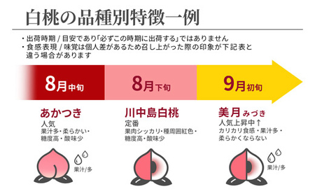 《先行予約 2025年度発送》山形県産 白桃 秀品 3kg  もも モモ 桃 デザート フルーツ 果物 くだもの 果実 食品 山形県 FSY-1240