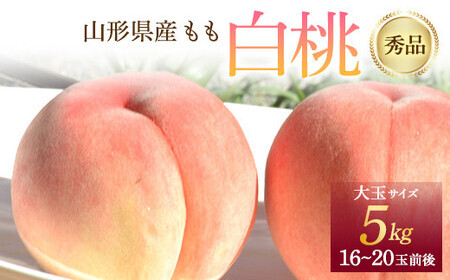 《先行予約 2026年度発送》 山形県産 白桃 秀品 5kg もも モモ 桃 デザート フルーツ 果物 くだもの 果実 食品 山形県 FSY-1241