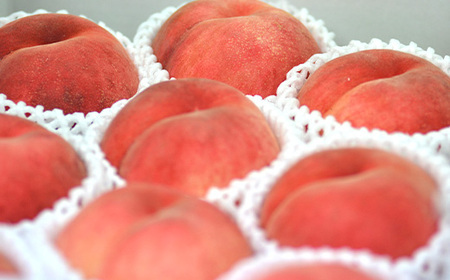 《先行予約 2026年度発送》 山形県産 白桃 秀品 5kg もも モモ 桃 デザート フルーツ 果物 くだもの 果実 食品 山形県 FSY-1241