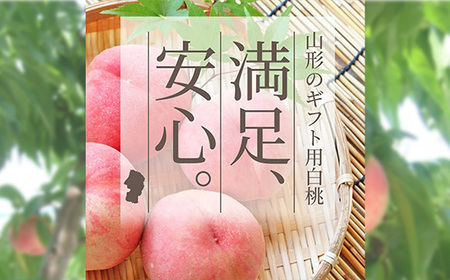 《先行予約 2026年度発送》 山形県産 白桃 秀品 5kg もも モモ 桃 デザート フルーツ 果物 くだもの 果実 食品 山形県 FSY-1241