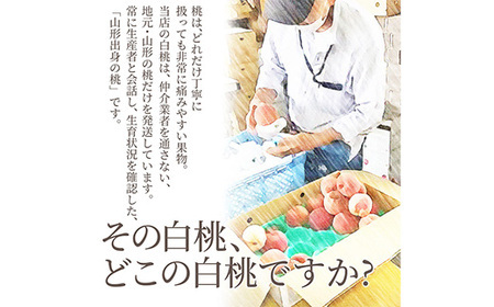 《先行予約 2026年度発送》 山形県産 白桃 秀品 5kg もも モモ 桃 デザート フルーツ 果物 くだもの 果実 食品 山形県 FSY-1241