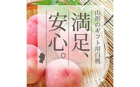 《2026年産 先行予約》山形県産 硬め白桃 秀品 3kg（6～12玉前後） もも モモ 桃 デザート フルーツ 果物 くだもの 果実 食品 山形県 FSY-1242