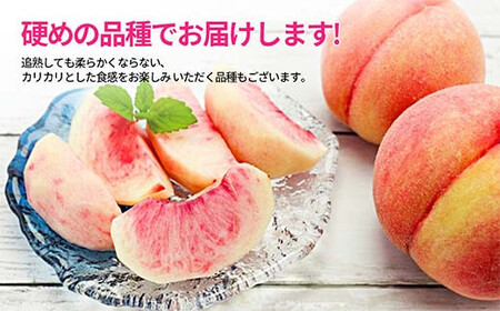 《2026年産 先行予約》山形県産 硬め白桃 秀品 3kg（6～12玉前後） もも モモ 桃 デザート フルーツ 果物 くだもの 果実 食品 山形県 FSY-1242