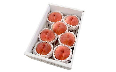 《2026年産 先行予約》山形県産 白桃 秀品 2kg（7玉前後） もも モモ 桃 デザート フルーツ 果物 くだもの 果実 食品 山形県 FSY-1243