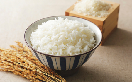 令和5年度産 特別栽培米つや姫&雪若丸 食べ比べセット 計4kg（2kg×2袋） 山形県産 F2Y-3828