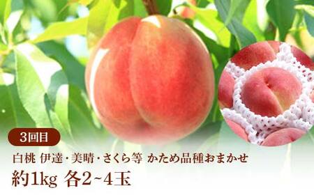 ≪2026年先行予約≫ 全4回 夏秋みちのくフルーツ定期便 FSY-2391