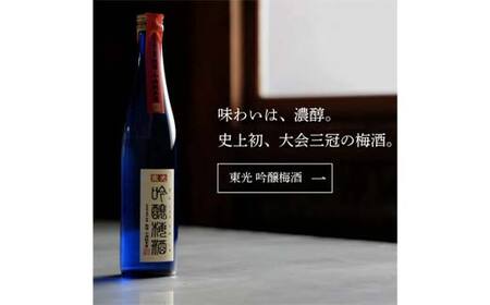 吟醸梅酒・辯天梅酒 各500ml×2本 F2Y-3806