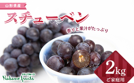 ≪2026年先行予約≫【仲野観光果樹園】ご家庭用 山形県産 スチューベン 2kg(6～13房) 種あり ぶどう 2026年9月上旬から順次発送 F2Y-5819